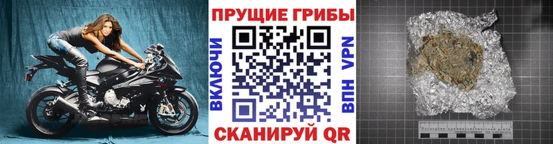 Галлюциногенные грибы Magic Shrooms  цены наркотик  Жиздра 